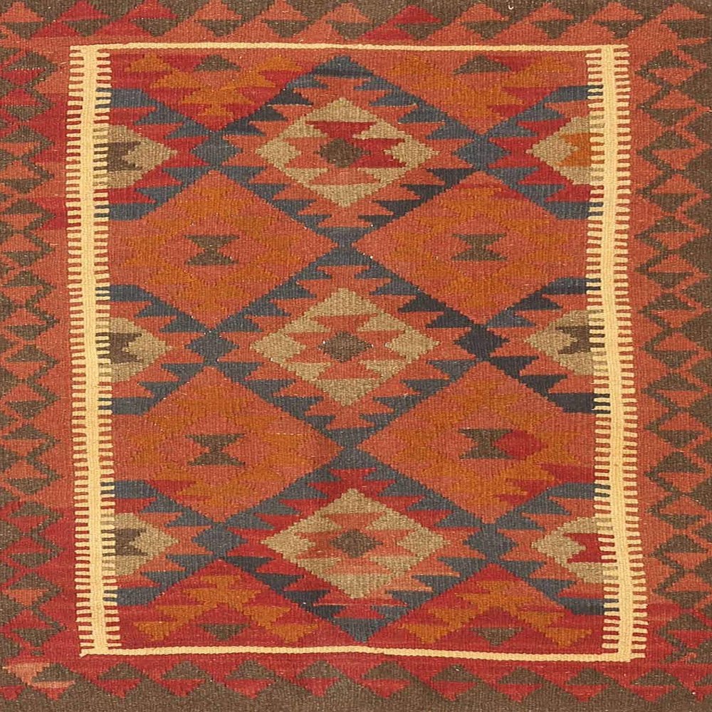 Contemporary 1659 Area Rug - 5'0" by 7'0"