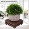 Hztyyier Oriental Furniture Wooden Display Stand, Decorative Plant Holder for Office or Home Use view 4