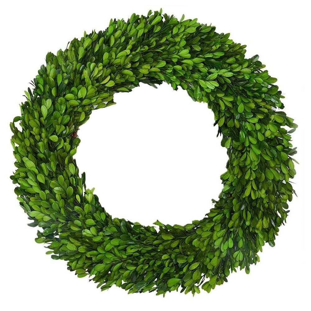 Boxwood Wreath X-Larger 22 inch Preserved Nature Boxwood Wreath Home Decor Stay Fresh for Years for Door Wall Window Party Dcor Spring Summer Fresh Green Wreath