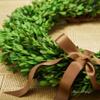 Boxwood Wreath X-Larger 22 inch Preserved Nature Boxwood Wreath Home Decor Stay Fresh for Years for Door Wall Window Party Dcor Spring Summer Fresh Green Wreath view 2