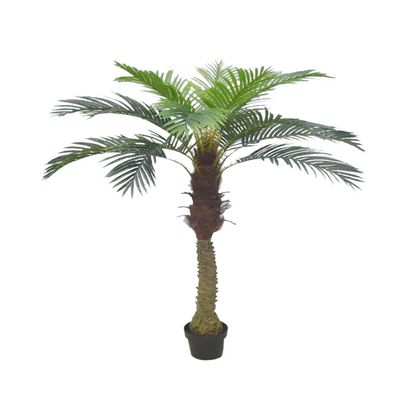AMERIQUE Gorgeous 6 Feet Cycas Revoluta Sago Palm Tree with Nursery Pot, Real Touch Technology, with UV Protection, Super Quality