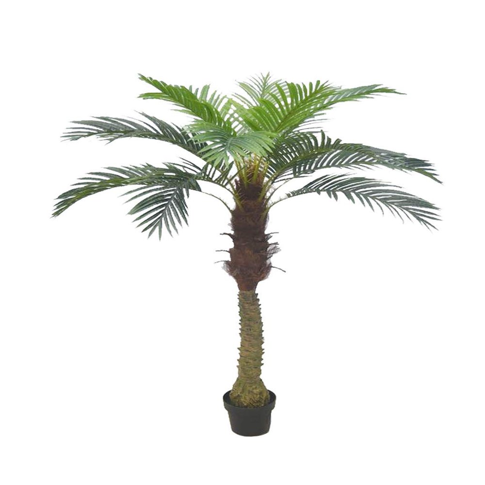AMERIQUE Gorgeous 6 Feet Cycas Revoluta Sago Palm Tree with Nursery Pot, Real Touch Technology, with UV Protection, Super Quality