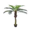 AMERIQUE Gorgeous 6 Feet Cycas Revoluta Sago Palm Tree with Nursery Pot, Real Touch Technology, with UV Protection, Super Quality view 1
