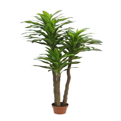 AMERIQUE Green Lifelike 6 Feet Tropical Dracaena Artificial Tree with 8" Nursery Pot, Feel Real Technology, Super Quality, 3 Trunks & 120 Leaves