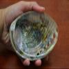 JumpingLight Polished Both Sides Green Abalone SEA Shell Beach Decor 5" - 5 1/2" #7451 Beach Wedding Nautical Decor Crafts - Beach Nautical view 2