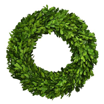 Boxwood Wreath 14" Preserved Natural Boxwood Wreath Home Decor Keep Fresh for Years Home Wreath Decor (Preserved Boxwood)