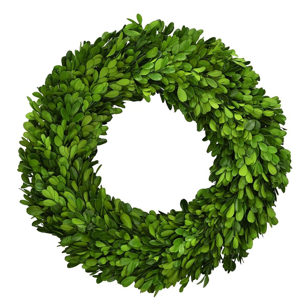 Boxwood Wreath 14" Preserved Natural Boxwood Wreath Home Decor Keep Fresh for Years Home Wreath Decor (Preserved Boxwood)