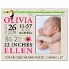 LifeSong Milestones Personalized Baby Birth Arrival Announcement - Newborn Stats Tropical Nursery Picture Frame Decor for Boys and Girls 8 x 10 Frame Holds 4 x 6 Photo (Ivory) view 1