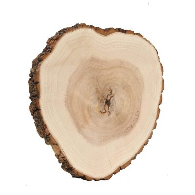 14-18 Inch Wide Natural Round Poplar Wooden Slices Discs for Rustic Wedding Centerpieces, Party Table Dcor, DIY Crafts, Cake Stands, Wood Burning, and Home Decorations