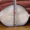 Japanese Floor Futon Mattress, Thick Soft Tatami Sleeping Pad Quilted Fitted Foldable Four Season Mattress Pad Roll Up Mat-b Full view 2