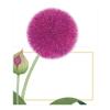Caspari Karen's Alliums Die-Cut Place Cards, 40 Included view 2
