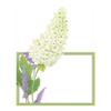 Caspari Fleurs De Mariage Die-Cut Place Cards in White, 40 Included view 2