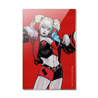 Harley Quinn Character Rectangle Acrylic Fridge Refrigerator Magnet