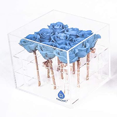 100% Real All Natural Premium Preserved Roses, Lasts for at Least 1 Year! (Baby Blue, 9)