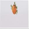 Autumn Pumpkin Place Cards, Set of 150, Pre-cut and Scored - Wedding, Party, Dinner, and Special Events - Made in the USA view 3