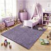 KOECKRITZ Soft & Colorful 5' x 7' Kids Classroom Area Rug  Cozy Playroom Carpet for Nursery, Daycare & Preschool, Flammability Pill Test Passed (Lavender) view 2