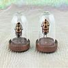 Entomology Man Faced Beetle Glass Dome Display Collectible Bug view 1