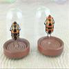 Entomology Man Faced Beetle Glass Dome Display Collectible Bug view 3