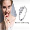 Bansriracha Princess Cut Cubic Zirconia Wedding Engagement Rings Anniversary 925 Sterling Silver Rings for Women Birthday Gift (5) view 3