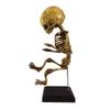 Asylum Zone Vintage in-Utero Fetus Skeleton view 2