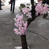 Artificial Cherry Blossom Trees - 5 Feet Blossom Tree - Light Pink - Real Wood Stems and Lifelike Leaves Replica Artificial Plant view 3