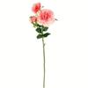 27 Light Pink Rose Stem Pk/3 view 1