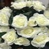 AMERIQUE Pair 4 Feet Gorgeous & Lifelike Artificial Trees, Nursery Pot, Real Touch Tech, 4' with 48 Rose Flowers Each, Green & White view 2