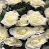 AMERIQUE Pair 4 Feet Gorgeous & Lifelike Artificial Trees, Nursery Pot, Real Touch Tech, 4' with 48 Rose Flowers Each, Green & White view 3