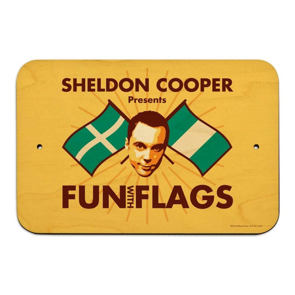 GRAPHICS & MORE Big Bang Theory Sheldon Cooper Fun with Flags Home Business Office Sign