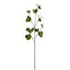 34 Green Hop Leaf Spray 3/Pk view 1
