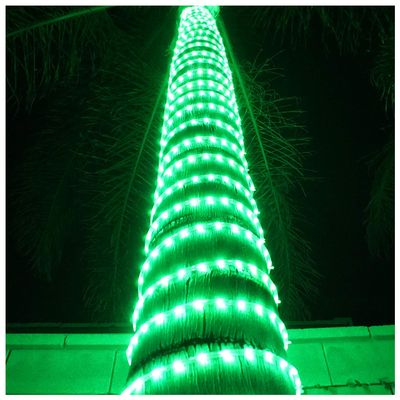 Russell Decor 200ft/60m Led Rope Lights Lamps Kit Indoor Outdoor Decorative Lighting for Saint Patrick's Day Party Wedding Backyard Patio Deck Bright Flexible String Tube Lights Waterproof- Green