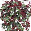 AMERIQUE Gorgeous 5' Ficus Capensia Tree Artificial Silk Plant, with Insertable Nursery Pot, Feel Real Technology, Super Quality, Green & Burgundy view 3