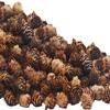 Deloky 150 Pcs Christmas Natural Mini Pine Cones- 2CM Thanksgiving Small Pinecones Ornaments Vase Fillers for DIY Crafts, Home Decorations, Fall and Christmas, Wedding Decor view 1