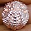 Thailand Amulet Magic Ohm Phra Rahoo Yok Cheewid Pligduang Goodluck for Life for Lp Seang Sudtiyaano view 4