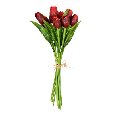 14 Red Tulip Bundle Pk/2