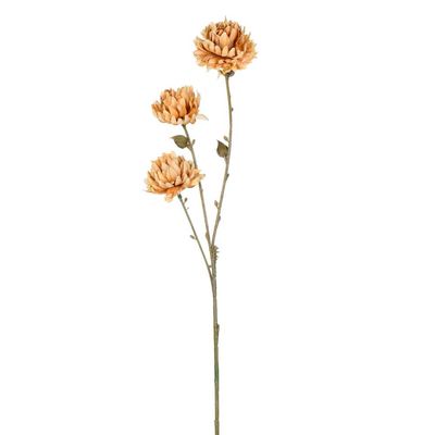 24 Mustard Mum Spray 4/Pk
