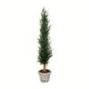 Vickerman Everyday Artificial Cedar Tree 48 Inch - Potted Natural Green Cedar Topiary - Indoor Home Living Room Office Christmas Faux Decor - Maintenance Free view 1