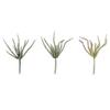 10.5 Green Haworthia Spray Asst 6/Pk view 1