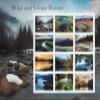 Wild and Scenic Rivers 2019 (Sheet of 12) Commemorative First-Class Mail Forever Postage Stamps view 1