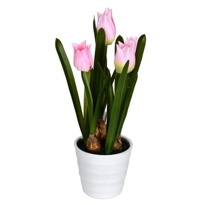 10 Pink Tulips in White Pot 2/Pk