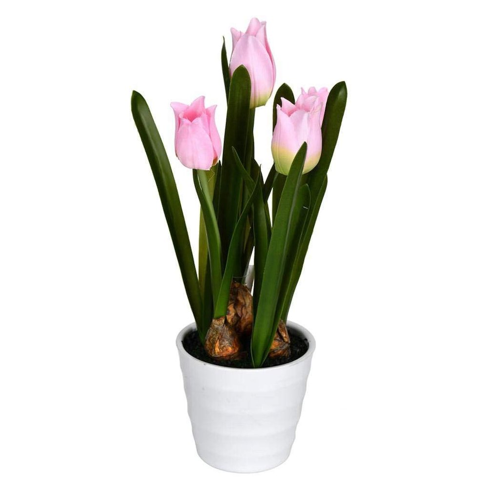 10 Pink Tulips in White Pot 2/Pk