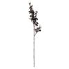 32 Purple Eucalyptus Leaf Spray Pk/3 view 1