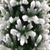 HOLIDAY STUFF 5 Foot Small Frosted Winter Spruce Flocked Christmas Tree (5 Ft Unlit) view 2
