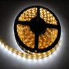 illuminous LED 12V Flex Strip Super Bright Cool White Waterproof IP68, LED Reel only (Does not Include Controller or Power Supply) view 1