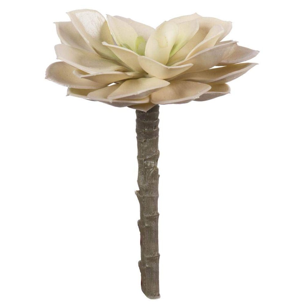 5 Green Succulent Pick Pk/4
