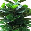 AMERIQUE Pack of Two (2) Gorgeous & Dense 5' Fiddle Leaf Fig Tree Artificial Silk Plant, with Nursery Pot, Feel Real Technology, Super Quality, Green view 2