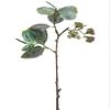 Arcadia Silk Plantation 27" Eucalyptus Spray with Seed Green (Pack of 12) view 1