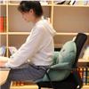 Waist Backrest Pad Seat Cushion,Home Office Chair, Car Seat, Recliner Non-Slip Warm Velvet Back Support Cushion for Adult and Child's (Dinosaur) view 4
