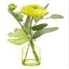 Arcadia Silk Plantation 9.75" Ranunculus/Eucalyptus in Glass Vase Yellow (Pack of 12) view 1