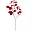 31" Eucalyptus Leaf Branch (pack of 12) view 1